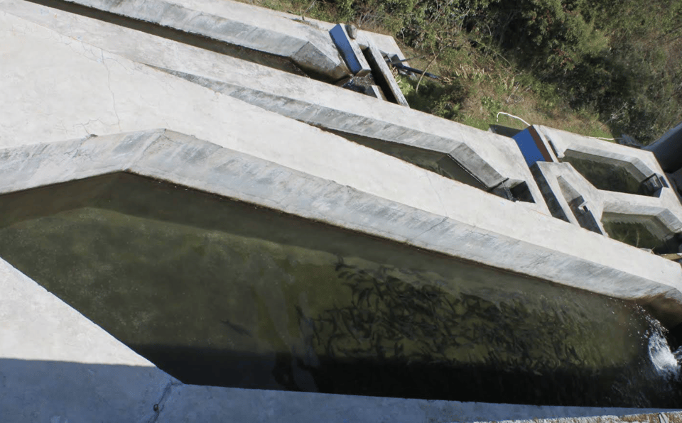Kathmandu: Himalayan Viewpoint & Trout Fishing Tour photo 4