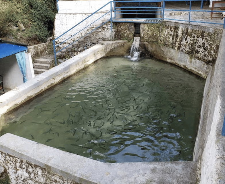 Kathmandu: Himalayan Viewpoint & Trout Fishing Tour photo 5