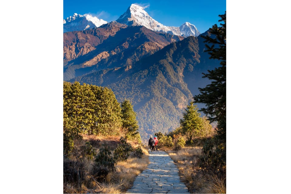 Ghorepani - Poon Hill Golden Horizon Trek from Kathmandu photo 2