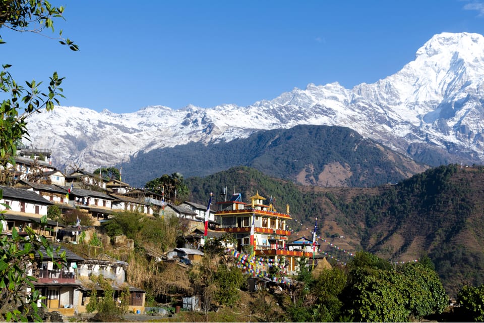 Ghorepani - Poon Hill Golden Horizon Trek from Kathmandu photo 5