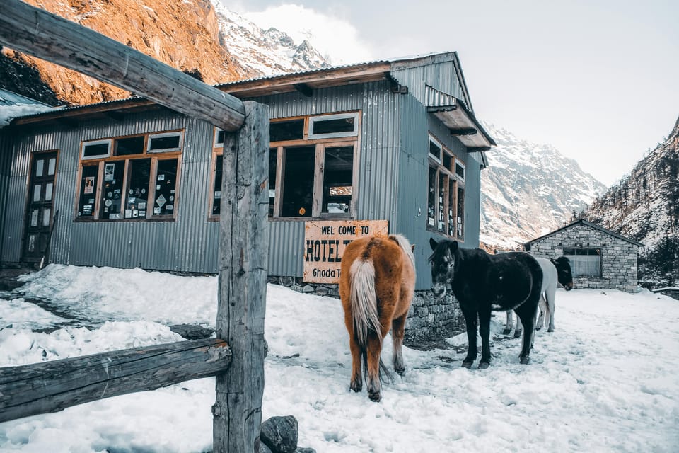 Kathmandu: Langtang Valley 7-Day Trek with Private Transfers photo 3