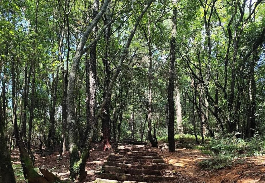 Kathmandu Day Hike to Nagarjun Jamacho with Hotel Pickup photo 4