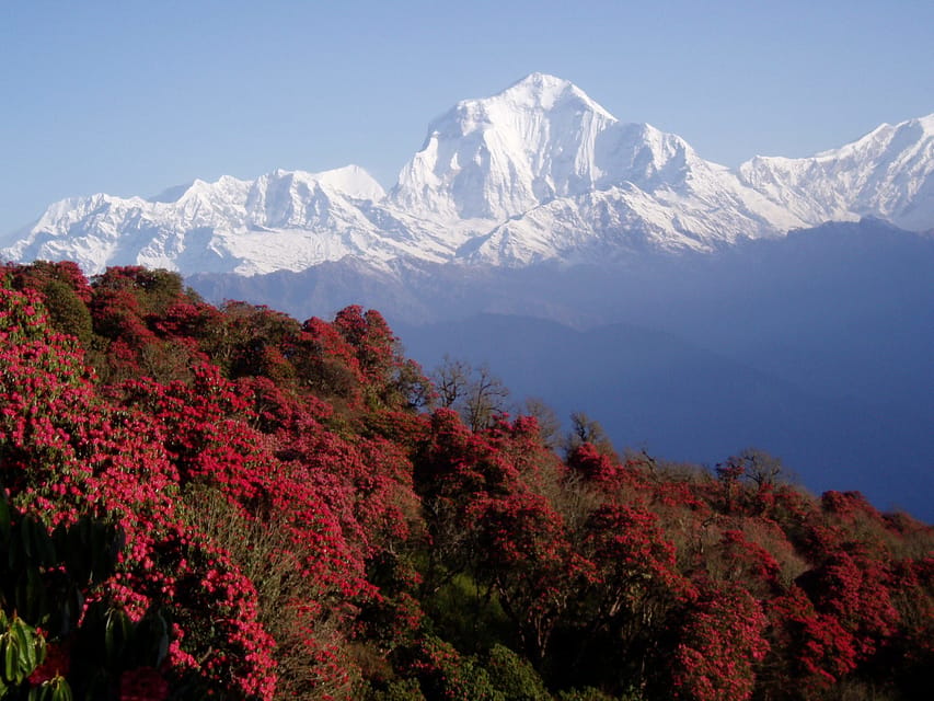 Premium and Private Adventure: Annapurna Base Camp Trek photo 4