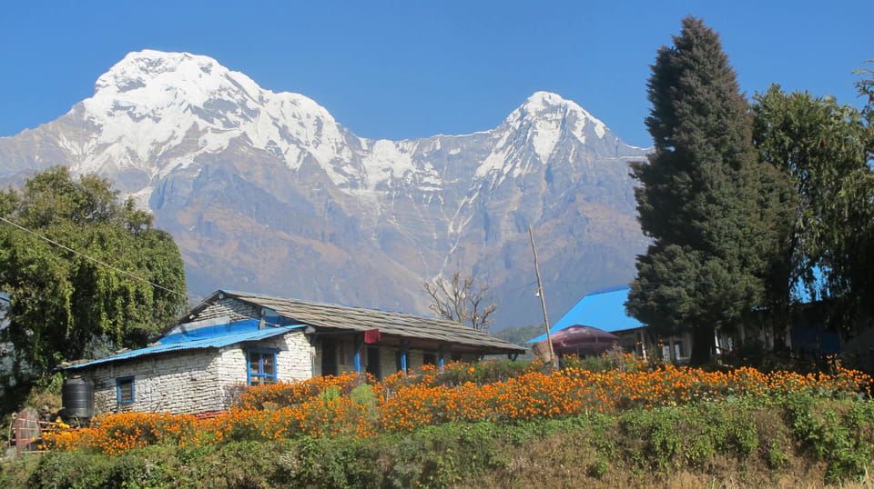 Nepal: 10-Day Private Buddhist Circuit Tour photo 3