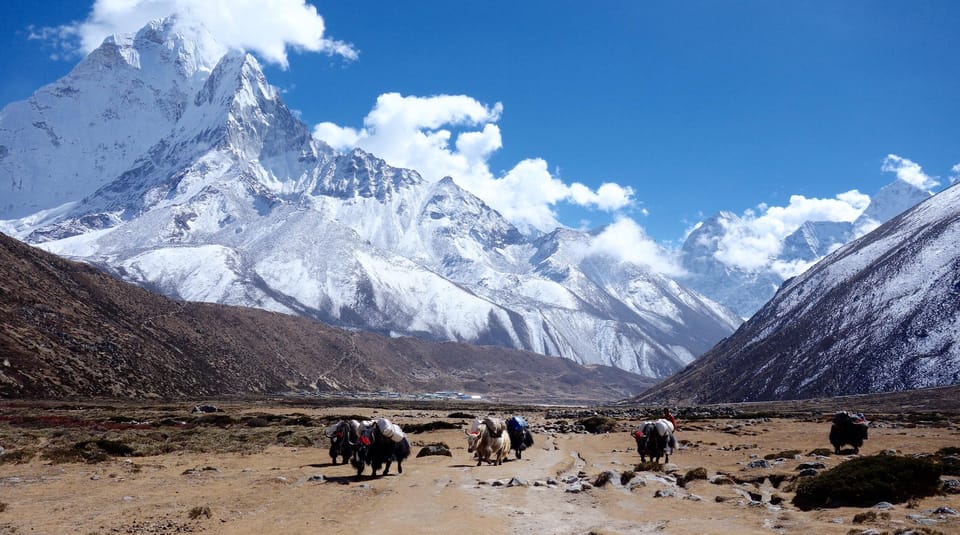 Everest View Trek to Namche Bazaar with Guide photo 4