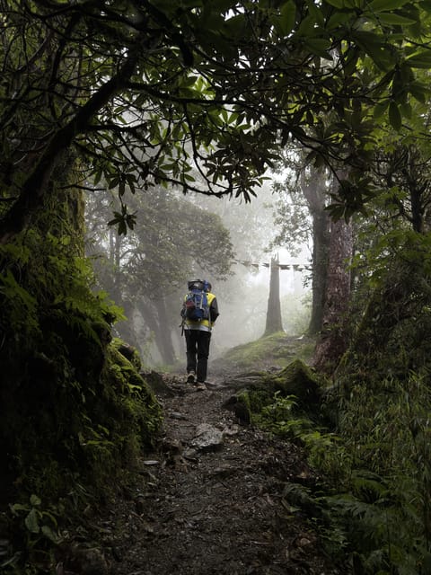 Pokhara: Queen Forest Hike to Santi Stupa & Lake Boating photo 2