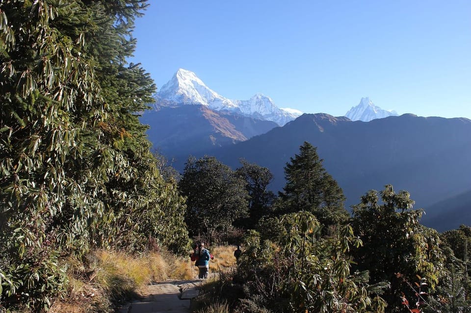 Pokhara: 3-Day Ghandruk Village Trek with Guide photo 5