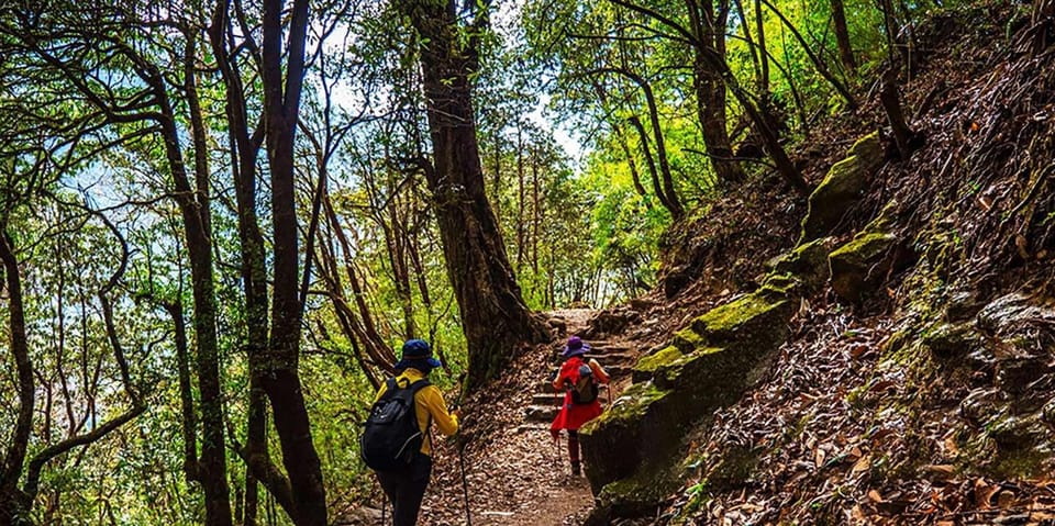 Pokhara: 3-Day Poon Hill Sunrise Trek with Lady Guide photo 5
