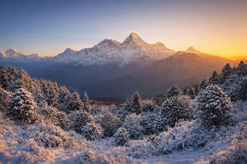 Pokhara: 2-Day Poon Hill Sunrise Trek with transfer photo 3