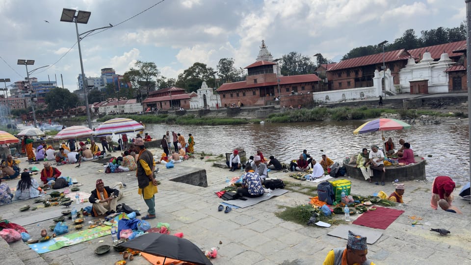 Kathmandu: 6-Day Bardia National Park Safari Tour photo 5