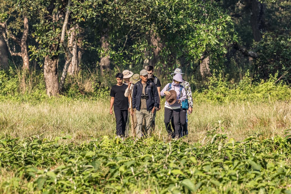 Chitwan: 3-Day Luxury Safari Package photo 5