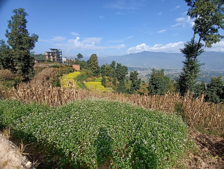 Kathmandu: 4-Day Culture, Cuisine & Himalayan Vistas photo 4