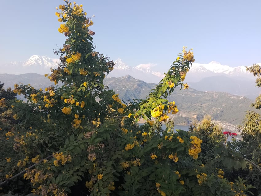 Nepal: 6-Day Mustang, Pokhara & Bandipur Cultural Jeep Tour photo 5