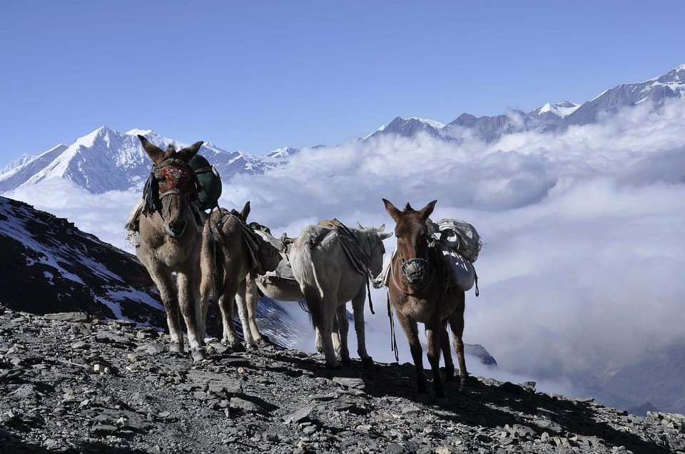 Lukla: Everest Base Camp Experience -Scenic Heli (15 days) photo 4