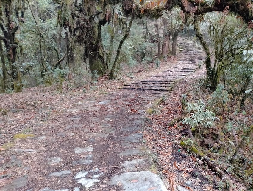 Hidden Hills High Himalayas: Panchase & Mardi Trek - 11 Days photo 5