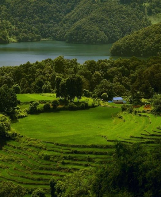 Pokhara:Zoological Park & Lake Suspension Bridge Guided Tour photo 2