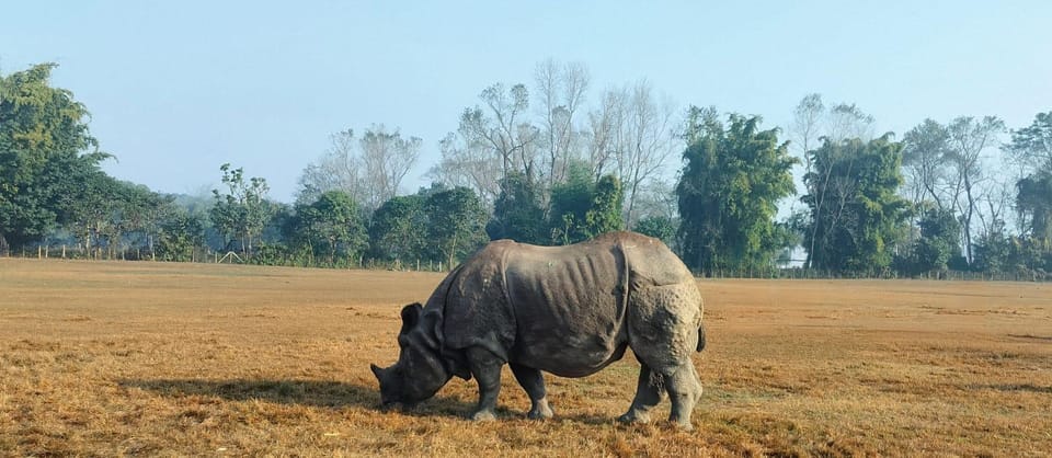 Tirsuli River Rafting, Khopra Trek & Chitwan Safari photo 5