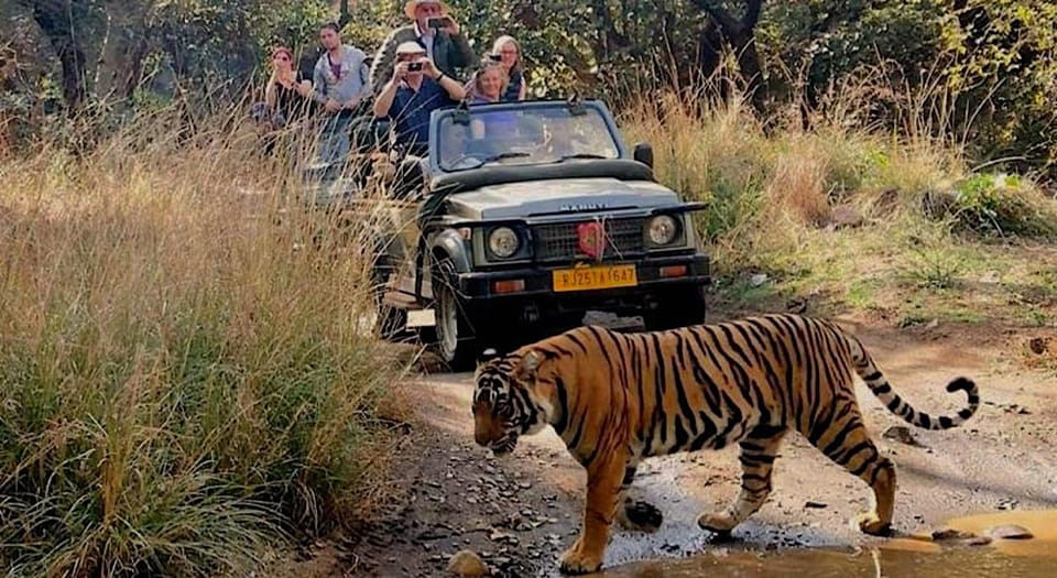 Chitwan: All Inclusive 3 days Safari with Tharu Village tour photo 3