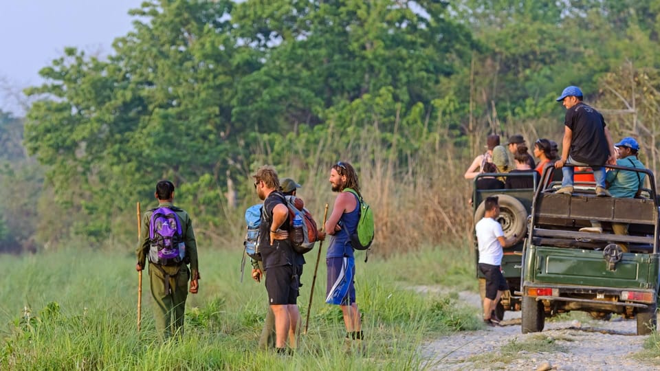 Chitwan: All Inclusive 3 days Safari with Tharu Village tour photo 4