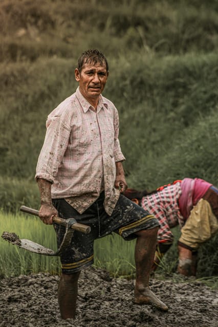 Kathmandu: Paddy Planting Festival with Lunch & Hike photo 3