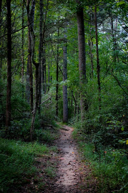 Kathmandu: Swayambhunath Temples & Scenic Hilltops Bike Tour photo 3