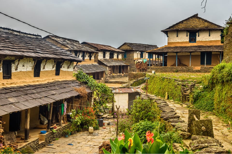 Pokhara View Trail: Australian Camp & Dhampus Guided Trek photo 4