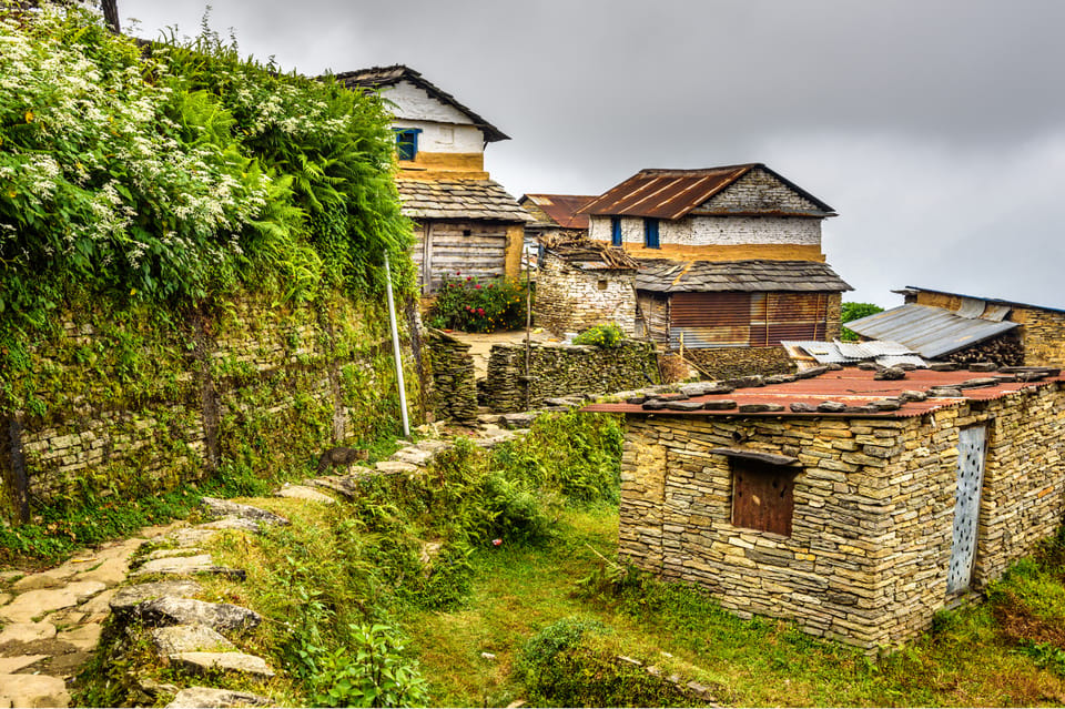 Pokhara View Trail: Australian Camp & Dhampus Guided Trek photo 5