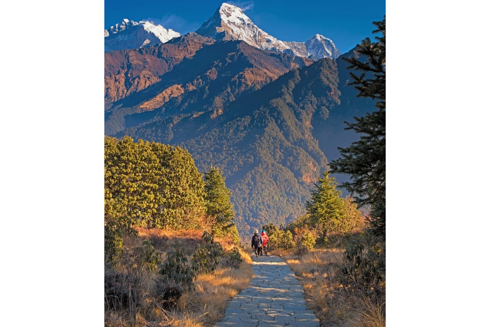 Pokhara: 2-Day Ghorepani Poon Hill Adventure photo 3