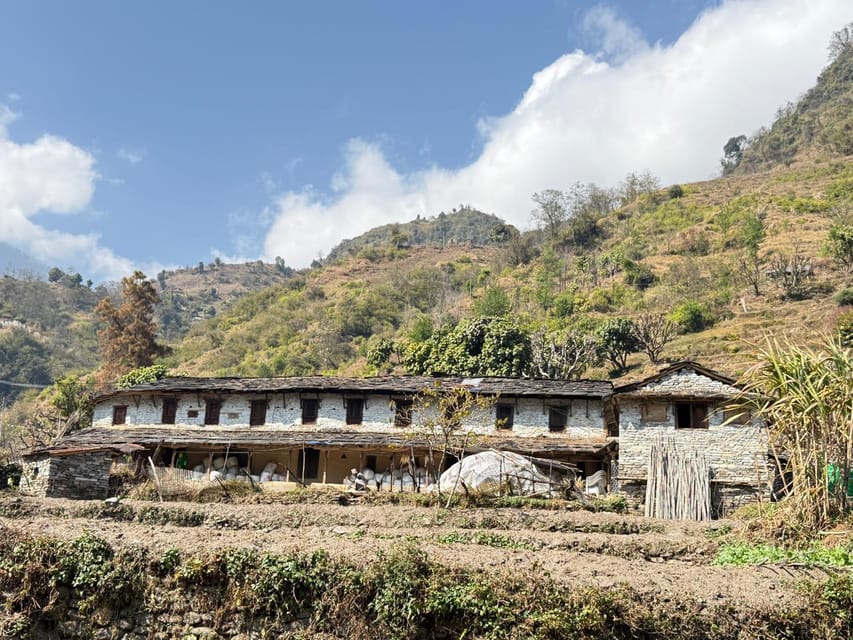 Kathmandu: Annapurna Base Camp Trek with Flights photo 3