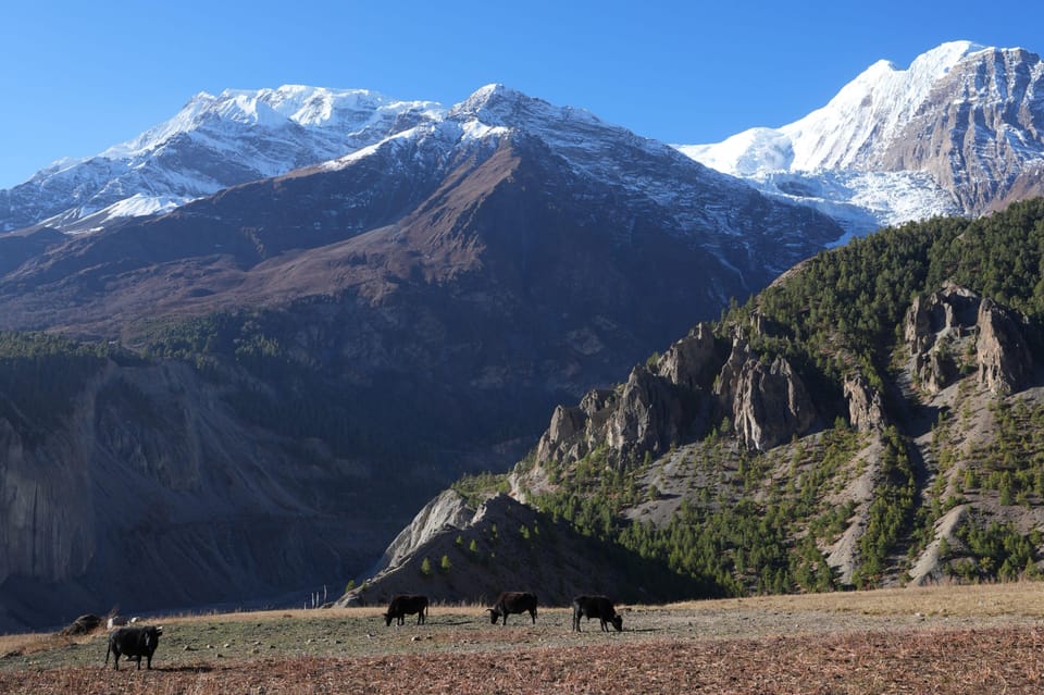 Kathmandu| Pokhara: 8-Days Off-road Cultural Tour in Manang photo 5