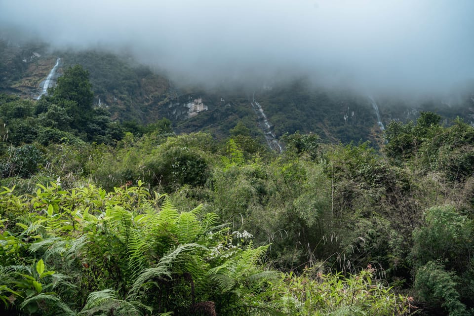 Kathmandu: Annapurna Sanctuary Wellness Trek ABC & Poon Hill photo 3