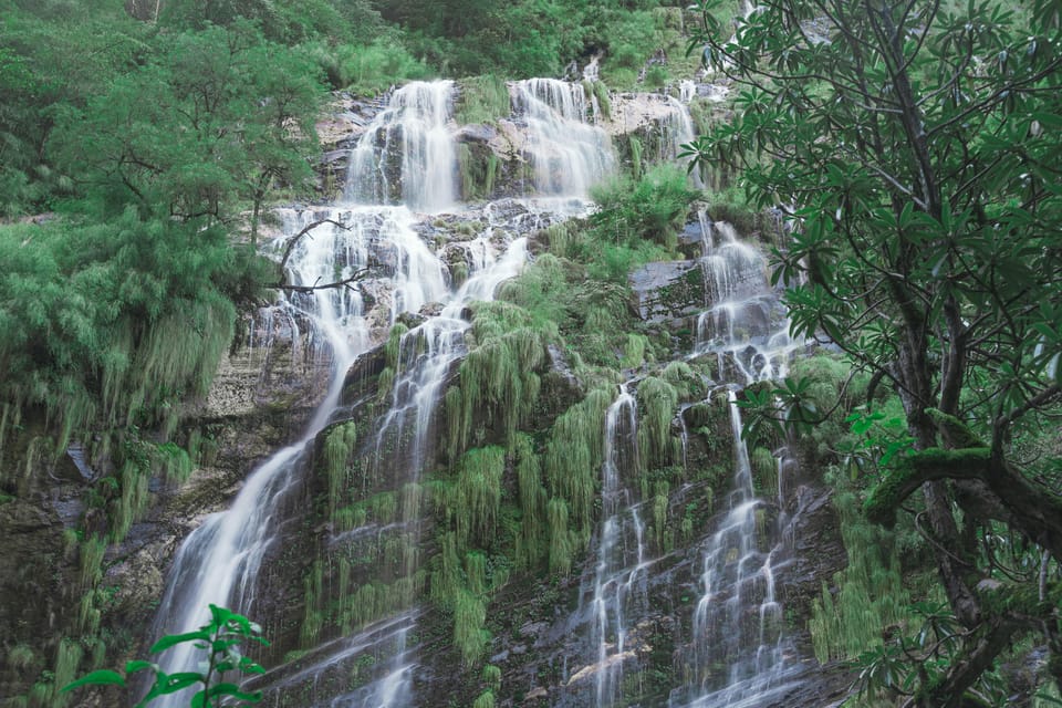 Kathmandu: Annapurna Sanctuary Wellness Trek ABC & Poon Hill photo 4