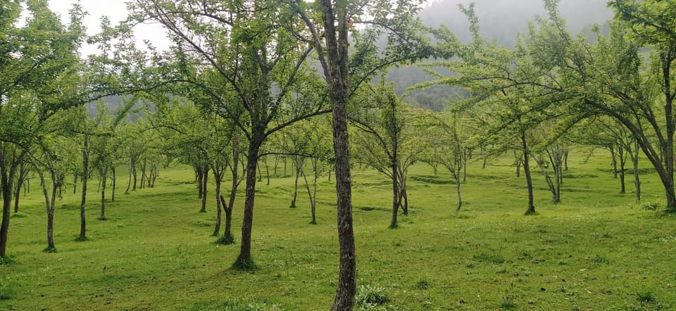 Kathmandu: 4-Day Chitwan National Park & Chitlang Tour photo 3