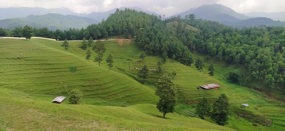 Kathmandu: 4-Day Chitwan National Park & Chitlang Tour photo 5