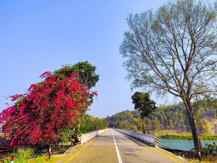 Kathmandu: 11-Day Heritage | Chitwan Safari Tour with Guide photo 5