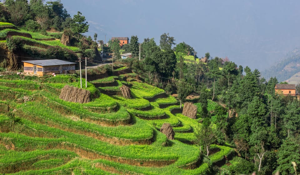Kathmandu: 3-Day Rice Planting & Village Homestay Tour photo 4
