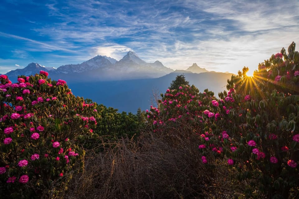 Pokhara: 4-Day Ullerai, Ghorepani & Poon Hill - Sunrise Trek photo 2
