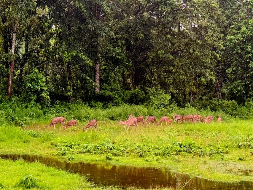 Koshi Tappu Wildlife Safari 3 Days from Kathmandu photo 2