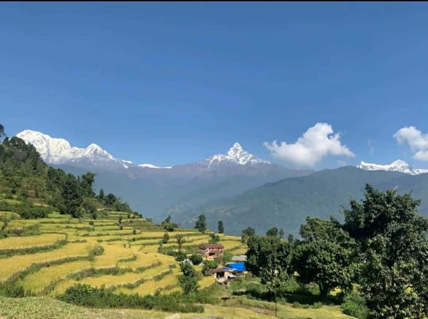 Pokhara: 2-Day Australian Base Camp & Dhampus Trek photo 5