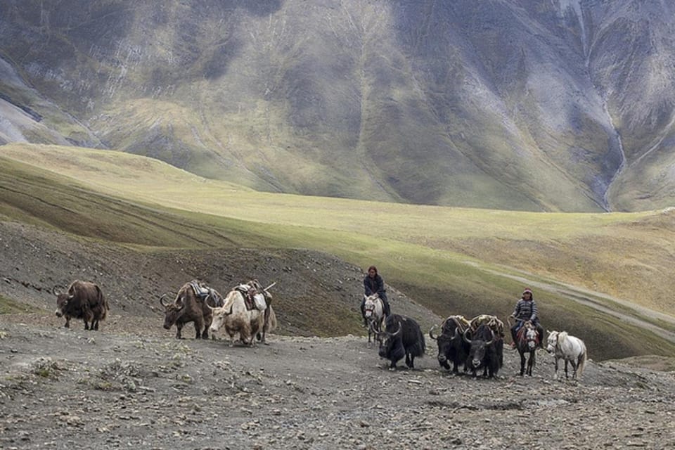 Pokhara: 10-Day Annapurna Circuit with Tilicho Guided Trek photo 5