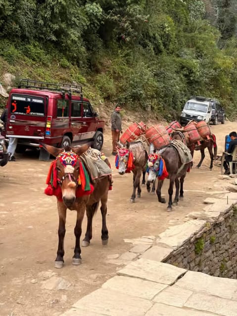 Pokhara: 7-Day Annapurna Base Camp Trek with Guide photo 5