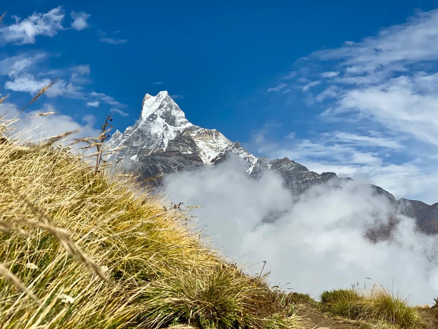 5 Days Mardi Himal Trek with Flights from Pokhara photo 5