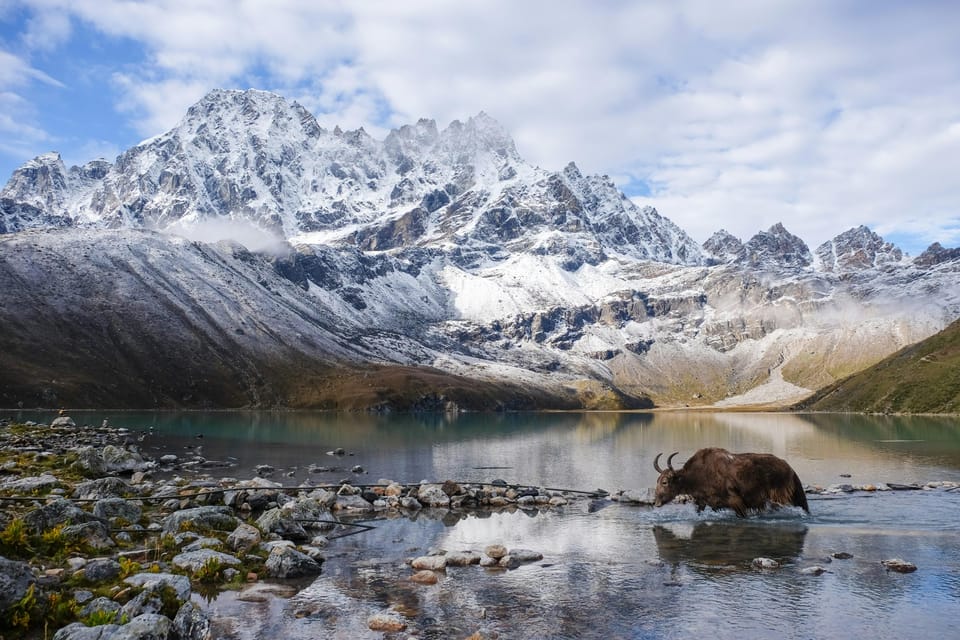 11 Days Short Gokyo Valley Trek from Kathmandu photo 4