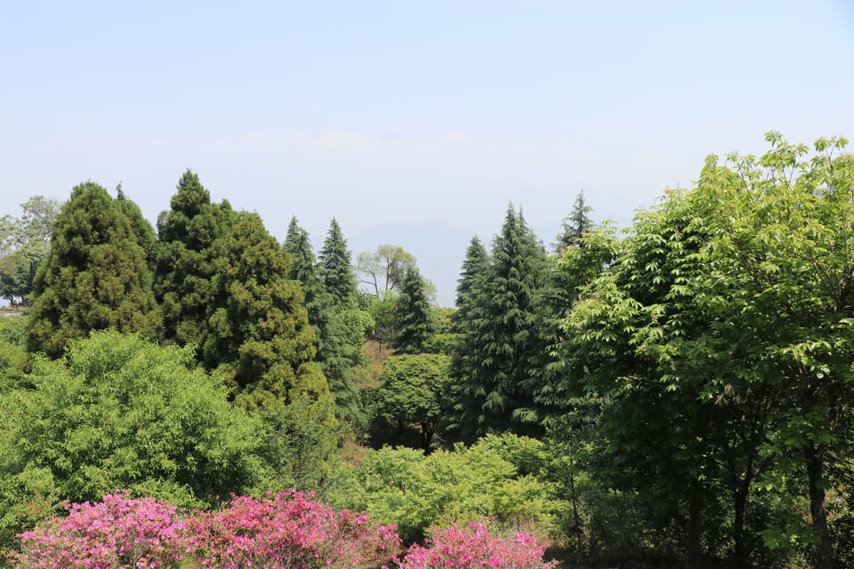 Kathmandu: Shivapuri National Park Guided Hike photo 4