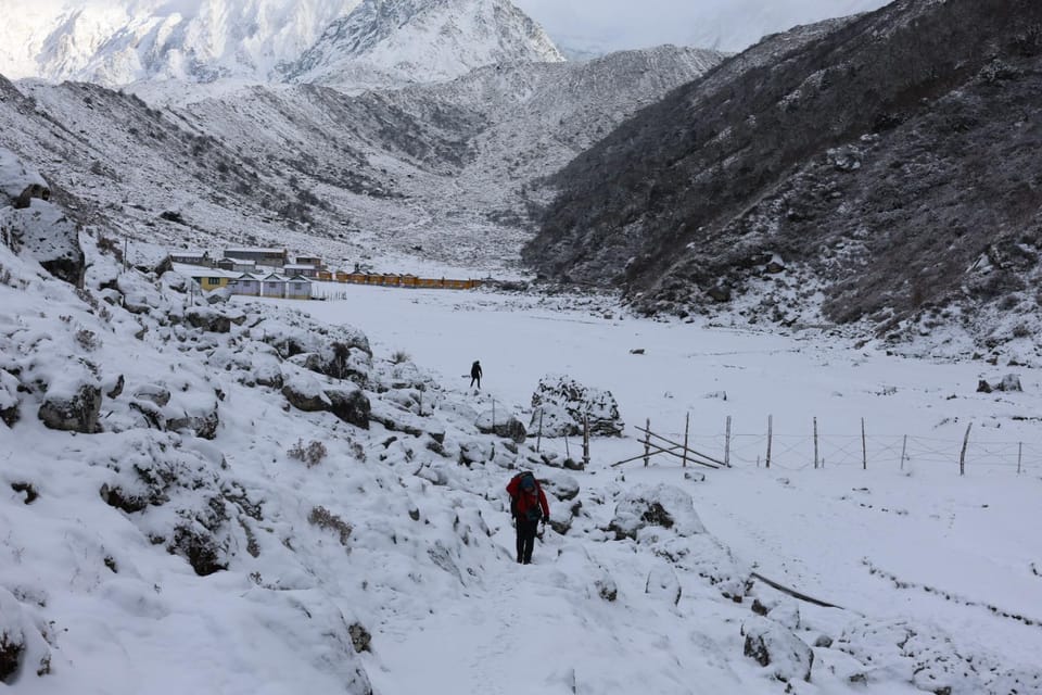 Manaslu Circuit Trek: Larkya La Pass & Tsum Valley 14 Days photo 4