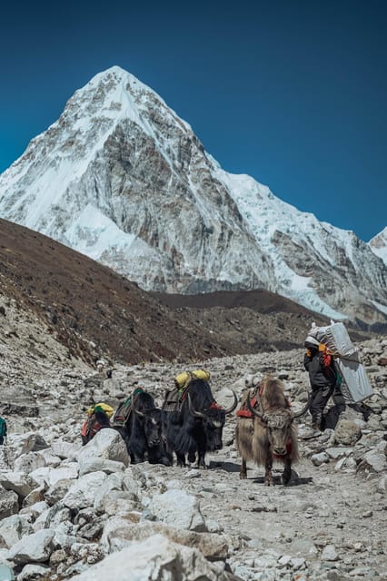 Kathmandu: 12 Day Culture and Sustainability EBC Trek photo 4