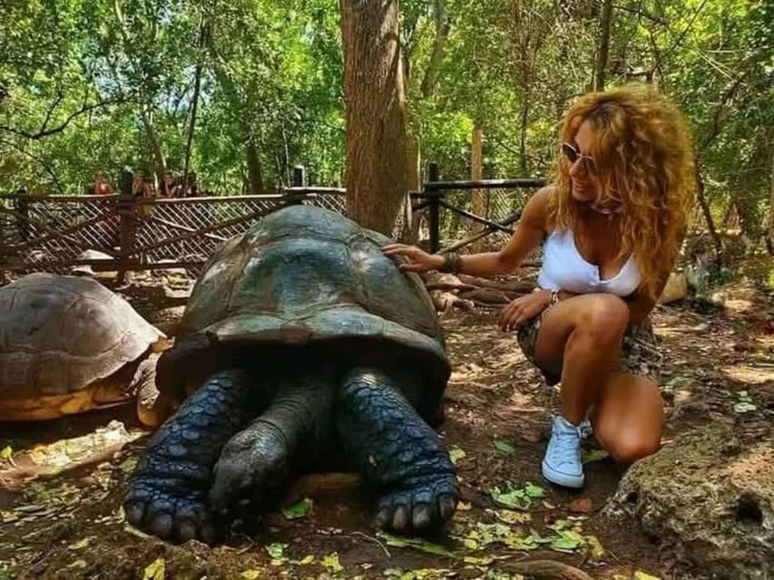 Zanzibar: Prison Island & Nakupenda Sandbank Tour Experience photo 5