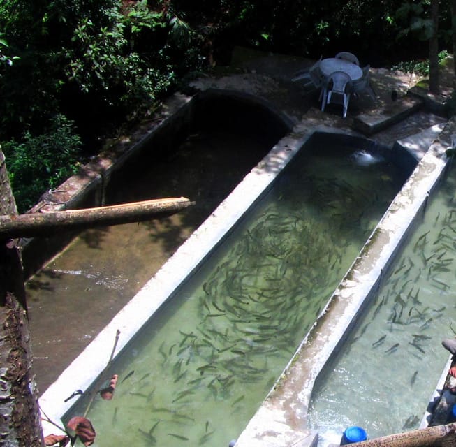 From Kathmandu: Kakani Trout Fishing and Tasting Tour photo 4