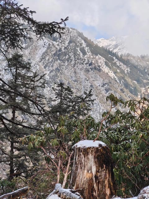 From Kathmandu: 3-Day Bhairab Kunda Trek with Guide photo 3