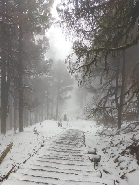 From Kathmandu: 3-Day Bhairab Kunda Trek with Guide photo 4